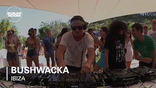 Photo of set Bushwacka.